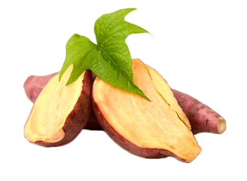 Kořen Yacon v Reduslim
