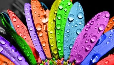 jak zhubnout na dietě 6 okvětních lístků